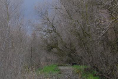 Sacramento National Wildlife Refuge
