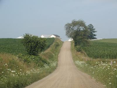 Image 15