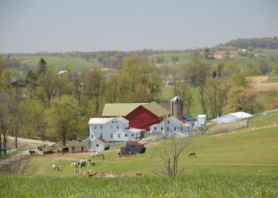 Image 28
