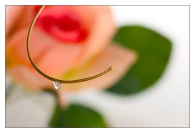 CRW_5092-web.jpg