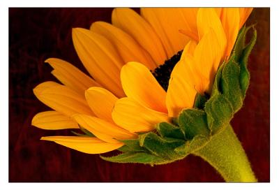 CRW_5133-web.jpg