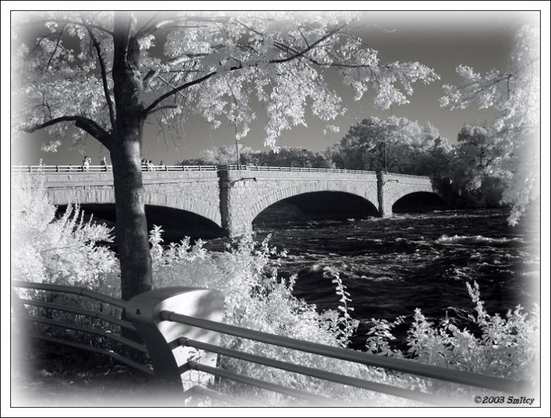 <b>Flora@Niagara*</b><br><font size =1>by Smitcy</font>
