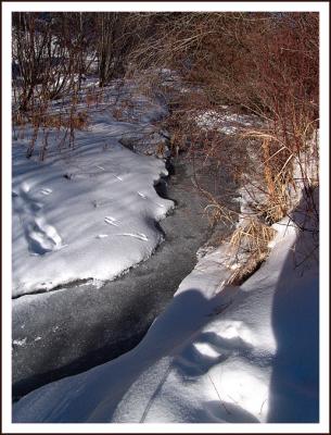 Tracks & Shadows  by mlynn