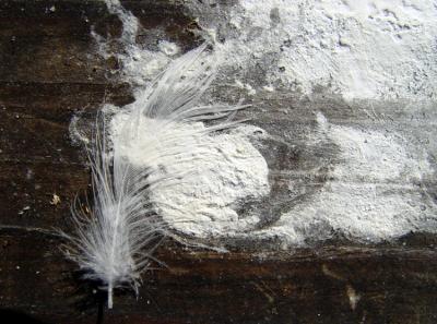 *Tur'd And Feather*by West (of Cary)