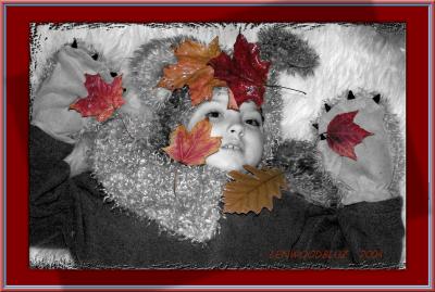 LEAVES THE PUPPY ALONE   by   LENWOODBLUZ     **