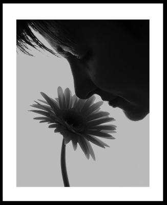 Fawning Over Daisiesby Mike Ezell