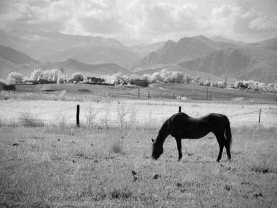 Dark HorseMike Klemmer