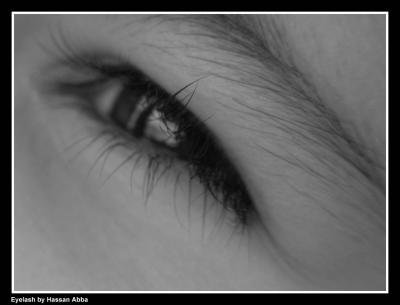 Eyelashby Hassan Abba