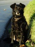 <B>After the hunt..</B> <BR> <FONT size=2>*by choco</FONT>