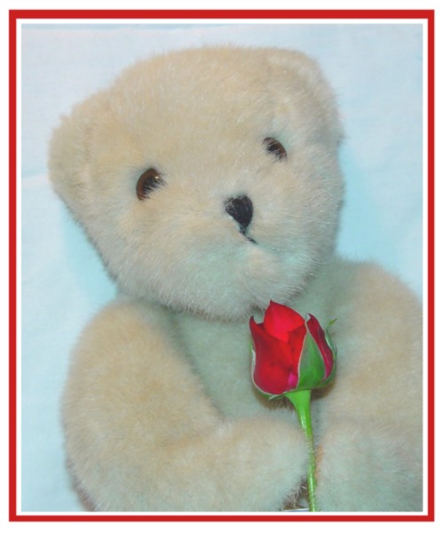 <b>Pleeeeaase ........   be my Valentine*</b> <br> <font size=1> by Ric Skilton</font></p>