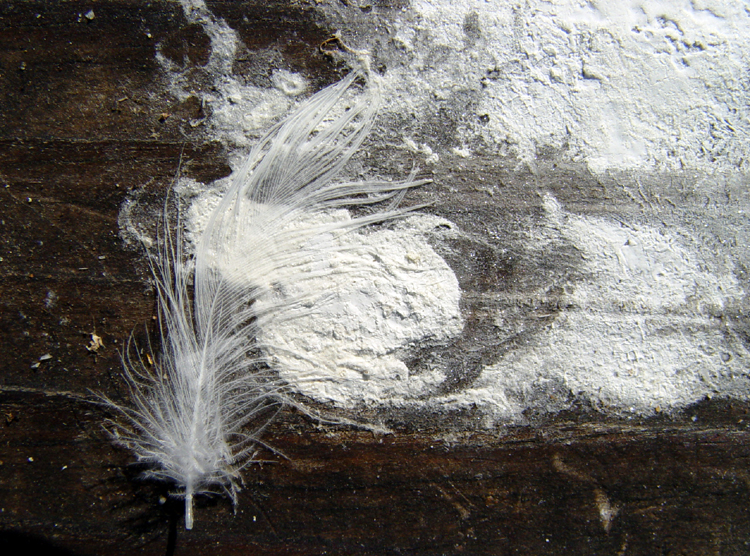 *Turd And Feather*<br>by West (of Cary)