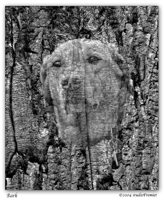 <b>10th<br>Bark</b><br><font size=2>by Fremiet</font>