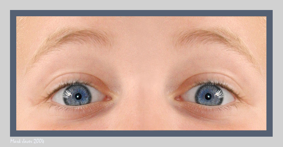 <p align=center><b>Anatomy Of Surprise</b><br><font size=1>by Markjay</font></p>