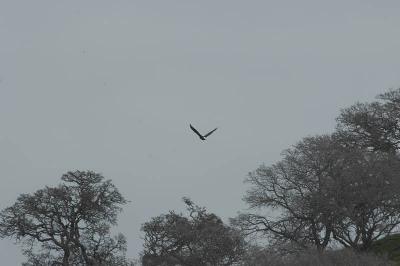 DSC_8004.JPG