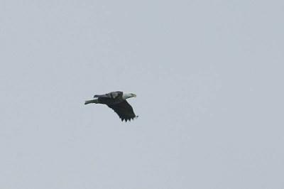 DSC_8009.JPG