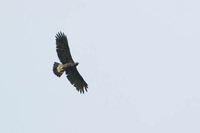 DSC_8016.JPG