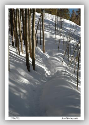 Winter's Walkway