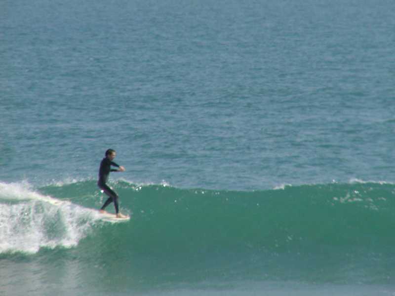 P1010083a.JPG