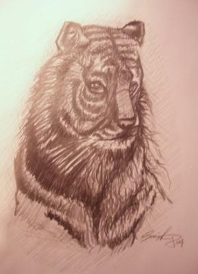 tiger2