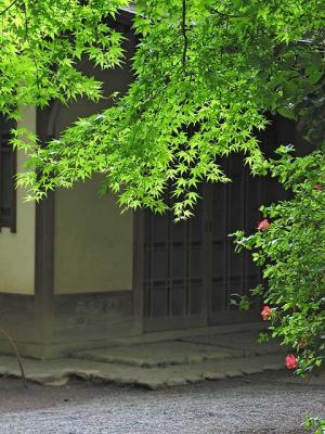 Meiji Shrine Inner Garden