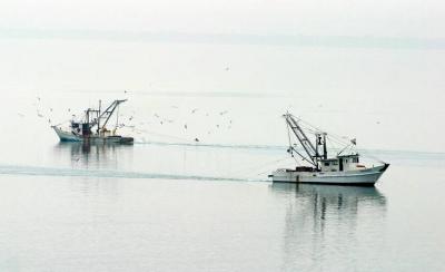Corpus Christi fishing boats