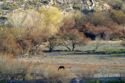 Across Rio grande into Mexico