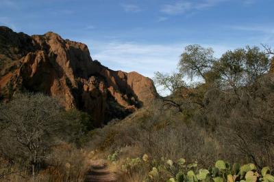 Window trail in Big bend NP