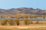 Bosque del Apache overview