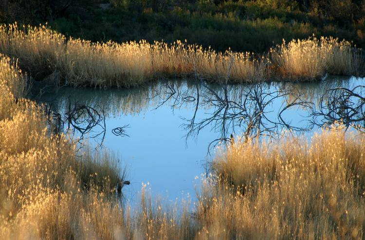 Big Bend at Rio Grande