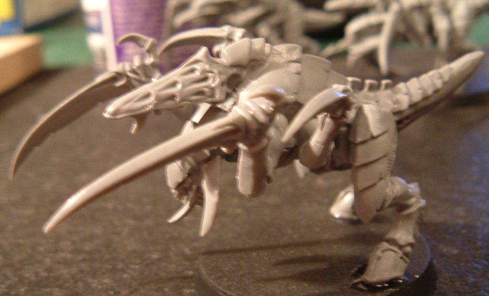 NT08.jpg