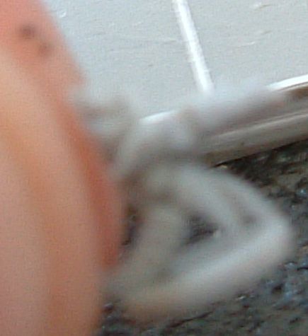 Step3gluegargoyle.jpg