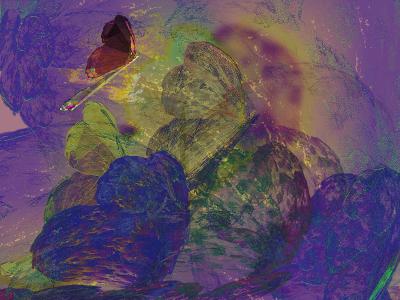 of wings to set a flutter by