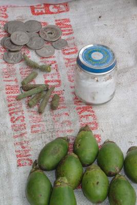 Betel nut with the lime and mustard that is chewed with it. Increases the effect!!! :)