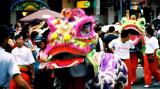 Chinese Spring Festival in Sydney