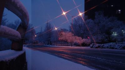 Turtle Creek Boulevard