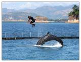 Subic Bay Ocean Adventure