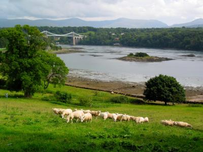 Menai Strait and Bridge