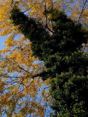 IMG_0218.JPG