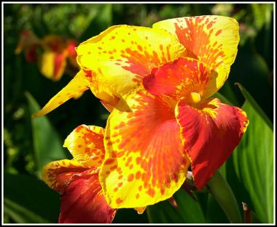 Colours of Spain