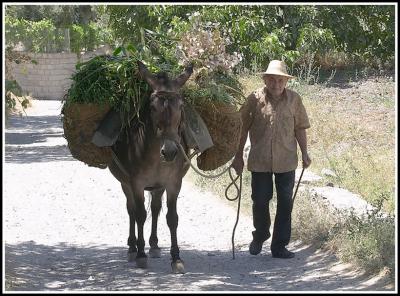Two locals