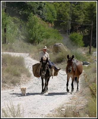 Locals off the beaten track