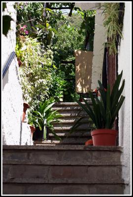 Steps