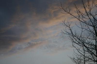 Another Winter Morning