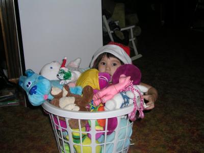Santa Sarah hiding in the basket with all her animals