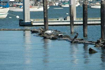 breakwater