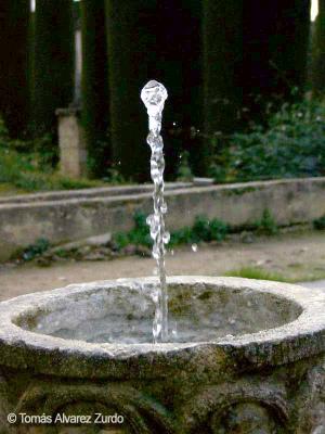 Fuente para beber