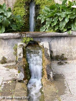 El agua vital