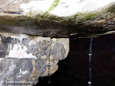 Fuente (detalle)