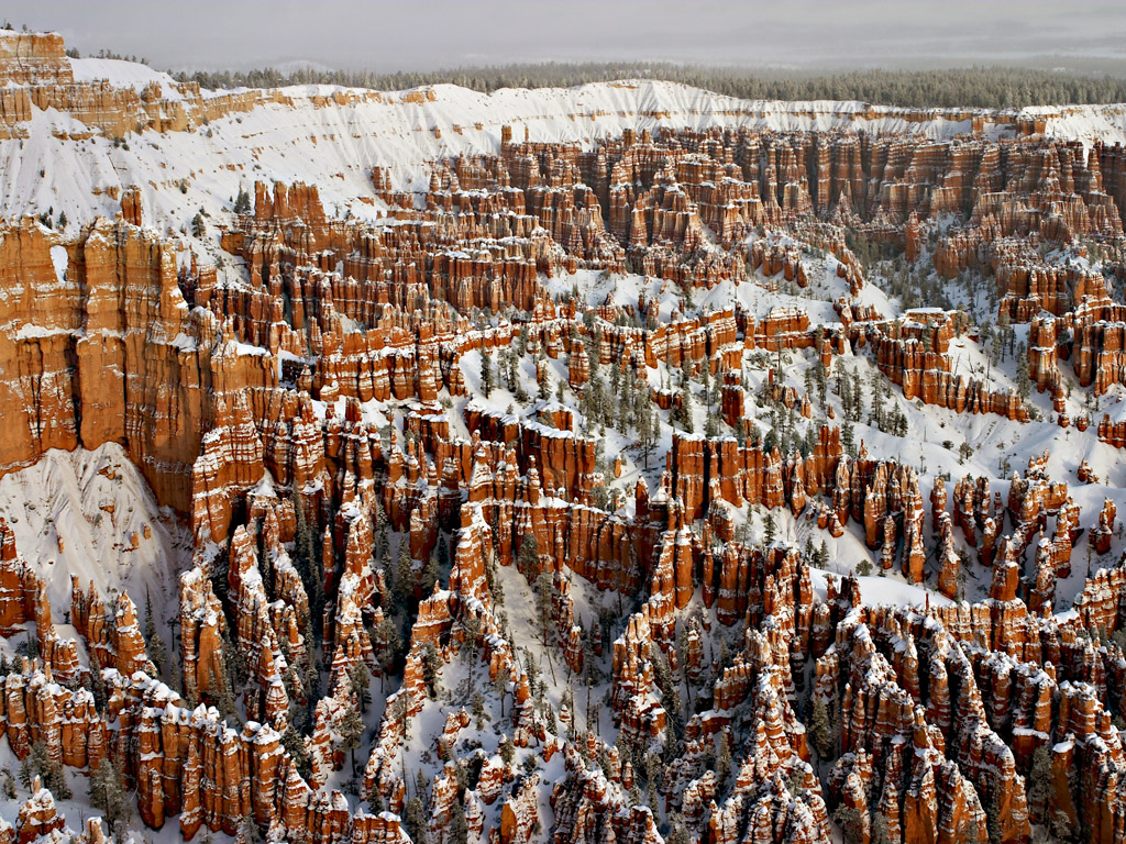 View from Bryce Point