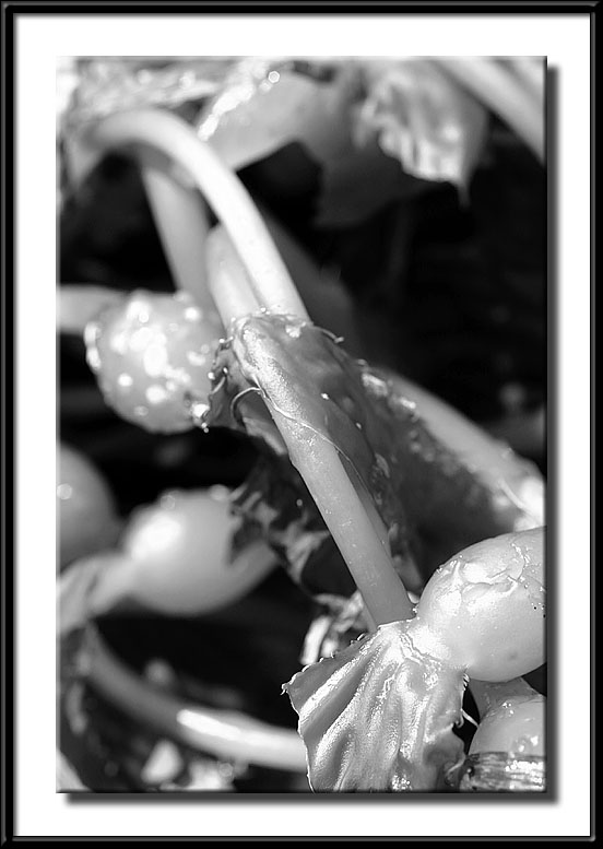 2-26-04